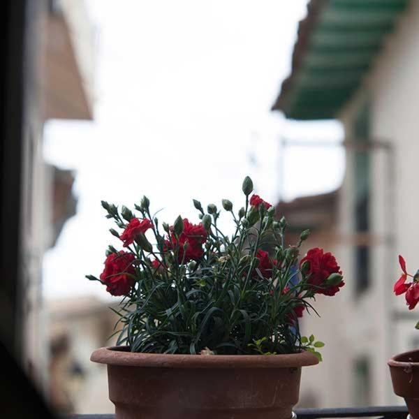 Apartamentos Casa Mata Colungo المظهر الخارجي الصورة